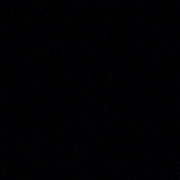 Meet your Posher, Lucy - Picture 1 of 1